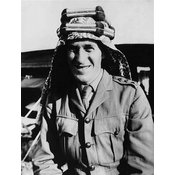 20. T. E. Lawrence (1888-1935): También conocido como Lawrence de Arabia, fue un oficial británico que jugó un papel crucial en la Revolución Árabe contra el Imperio Otomano.