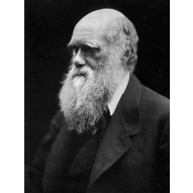 20. Charles Darwin (1809-1882): Científico británico cuya teoría de la evolución influyó en las ideas racistas y justificativas del imperialismo europeo.
