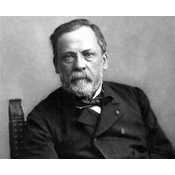 1. Louis Pasteur (1822-1895): Científico francés conocido por sus descubrimientos en microbiología y por desarrollar el proceso de pasteurización que ayudó a controlar epidemias.